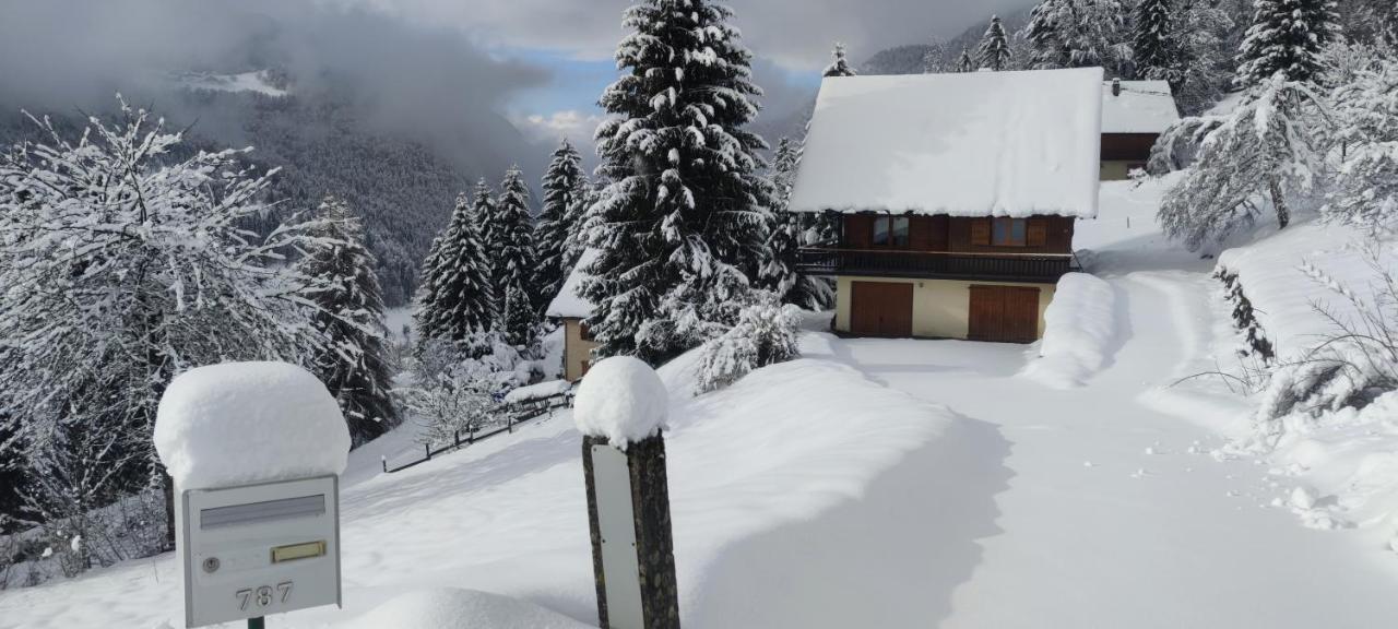 Chalet l'Alpe Saint-Pierre-d'Entremont  Extérieur photo